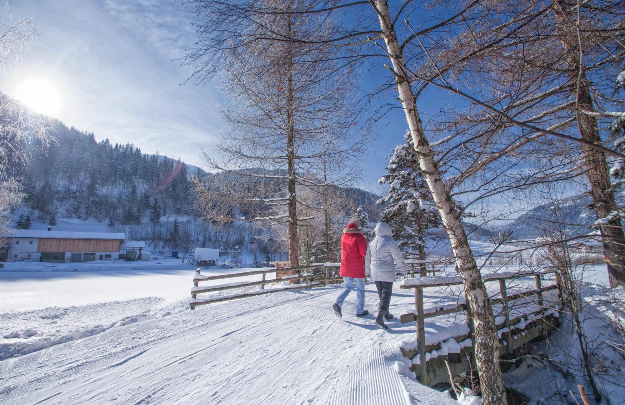 Das Landhaus Apartments Praegant Bad Kleinkirchheim Εξωτερικό φωτογραφία